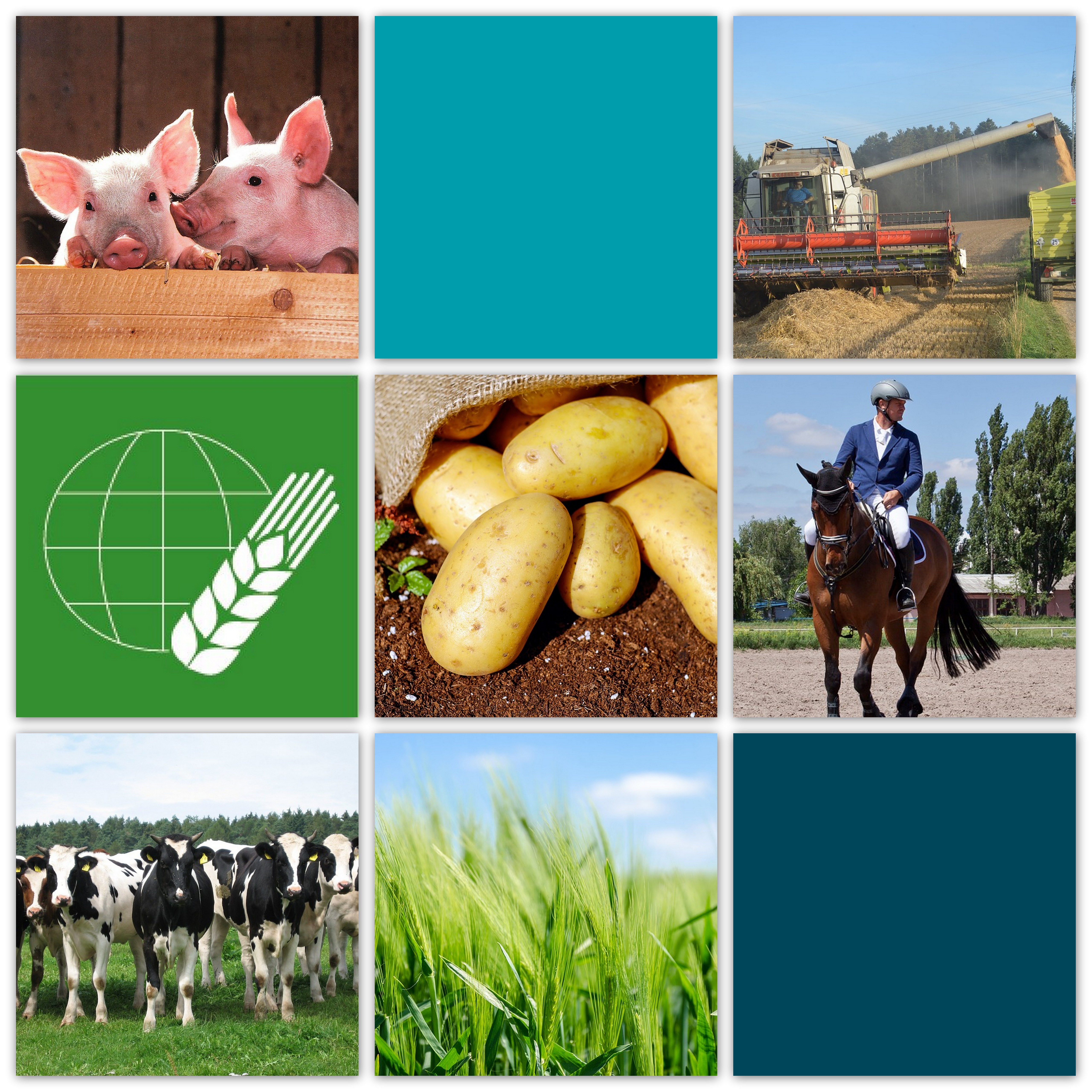 Berufswettbewerb in der Landwirtschaft