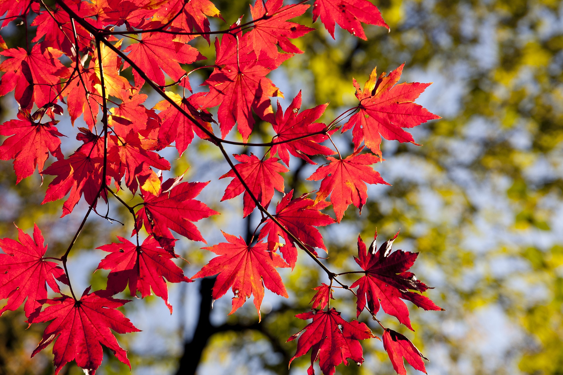 Herbstferien