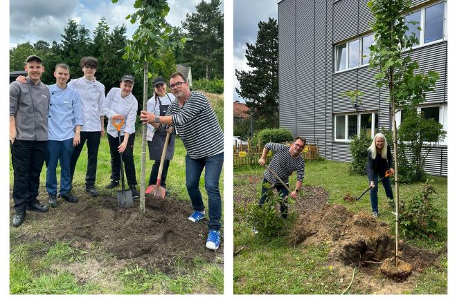 Baum-Pflanz-Aktion